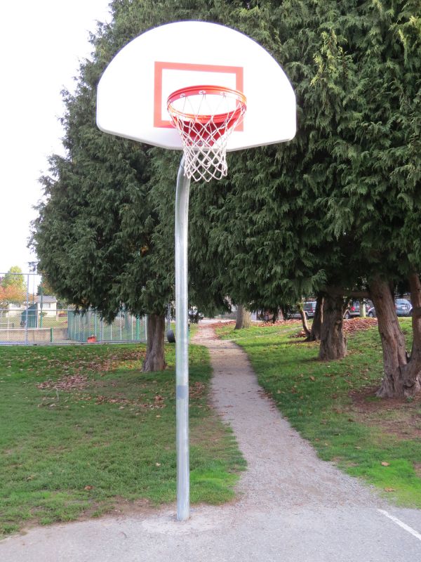 Hoop Mounting Service in Longmont, CO