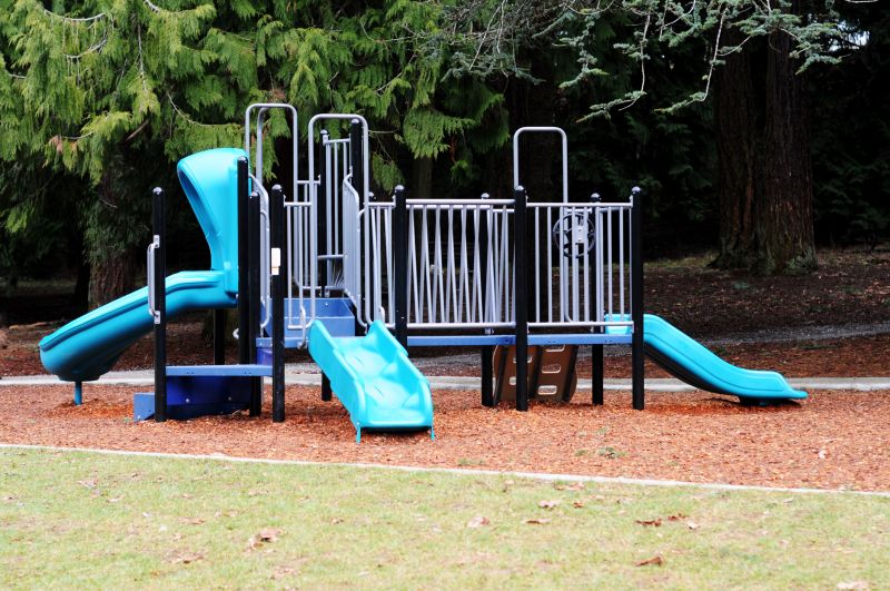 Children Playing on Playground Equipment